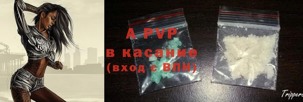 PSILOCYBIN Верея