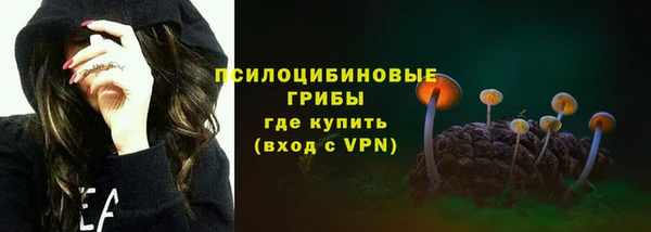 ГАЛЛЮЦИНОГЕННЫЕ ГРИБЫ Верхний Тагил