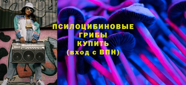 ГАЛЛЮЦИНОГЕННЫЕ ГРИБЫ Верхний Тагил