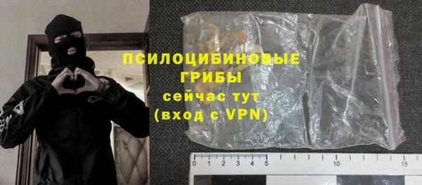 ГАЛЛЮЦИНОГЕННЫЕ ГРИБЫ Верхний Тагил