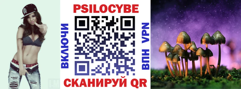 Псилоцибиновые грибы Psilocybe  Нальчик 